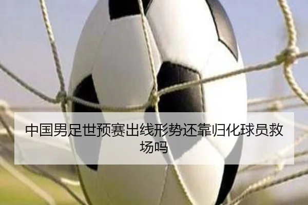 img_1784229748248_2172_1_510.jpg